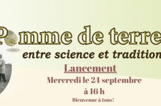 Pomme de terre : entre science et tradition