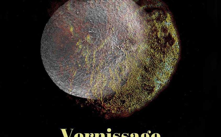 Semences, du caché à l'exubérance