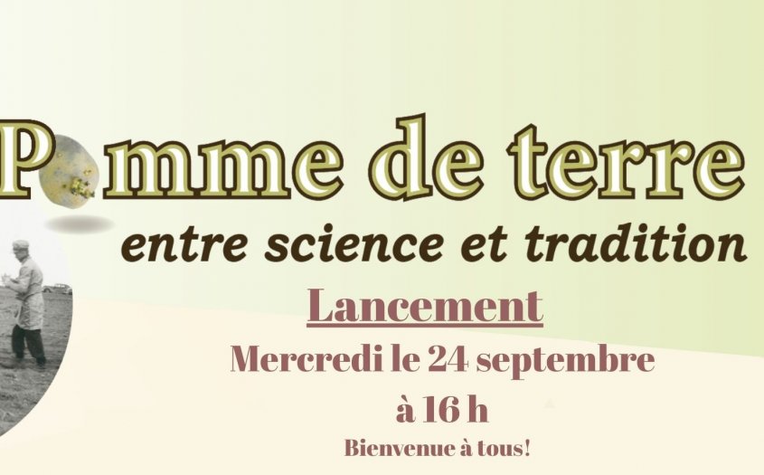 Pomme de terre : entre science et tradition